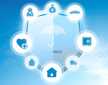 個人交社保與公司交社保的核心區別解析